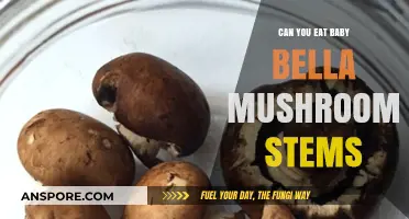 Can You Eat Baby Bella Mushroom Stems? A Tasty Guide