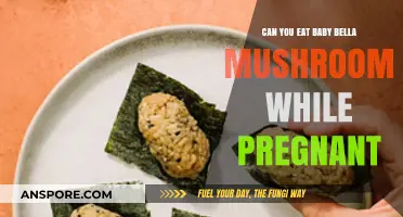 Pregnancy and Baby Bella Mushrooms: Safe to Eat or Not?