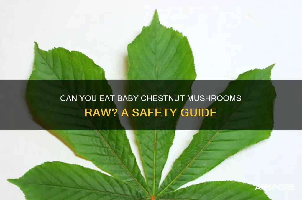 can you eat baby chestnut mushrooms raw