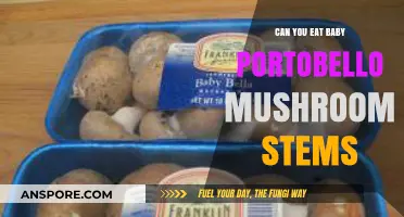 Can You Eat Baby Portobello Mushroom Stems? A Tasty Guide