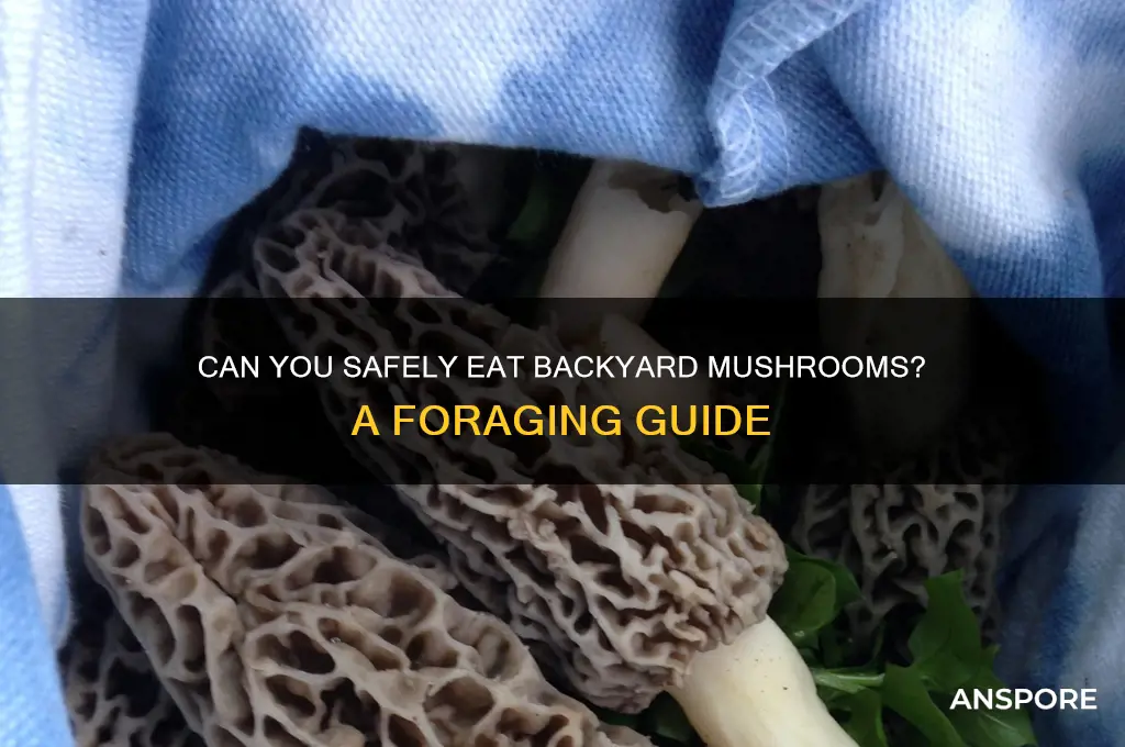 can you eat backyard mushrooms