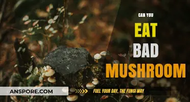 Can You Eat Bad Mushrooms? Risks, Symptoms, and Safe Practices