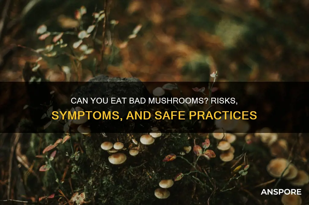 can you eat bad mushrooms