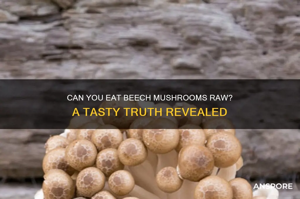 can you eat beech mushrooms raw