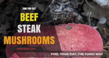 Can You Eat Beefsteak Mushrooms? A Tasty Guide to Identification and Preparation