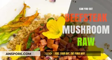 Can You Eat Beefsteak Mushrooms Raw? Safety and Tips