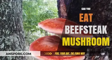 Can You Eat Beefsteak Mushrooms? A Tasty Guide to Safety