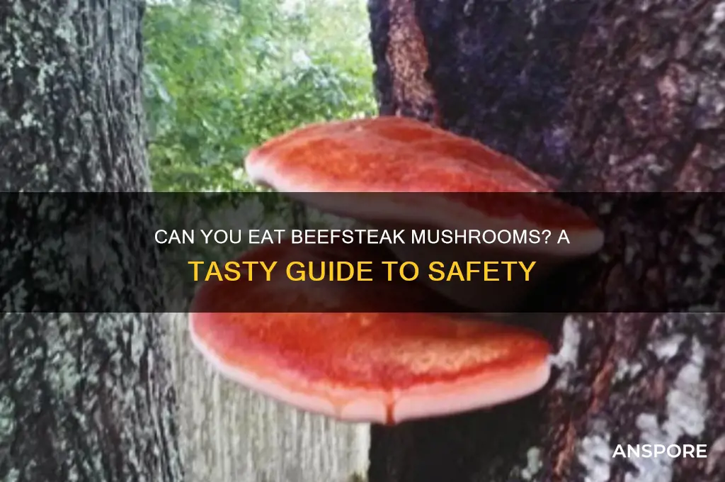 can you eat beefsteak mushrooms