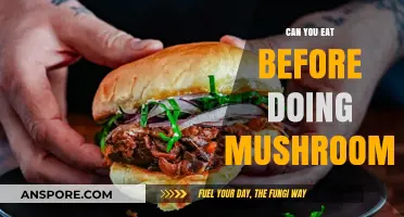 Should You Eat Before Taking Mushrooms? Pre-Trip Meal Tips