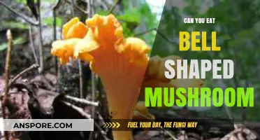 Can You Safely Eat Bell-Shaped Mushrooms? A Guide