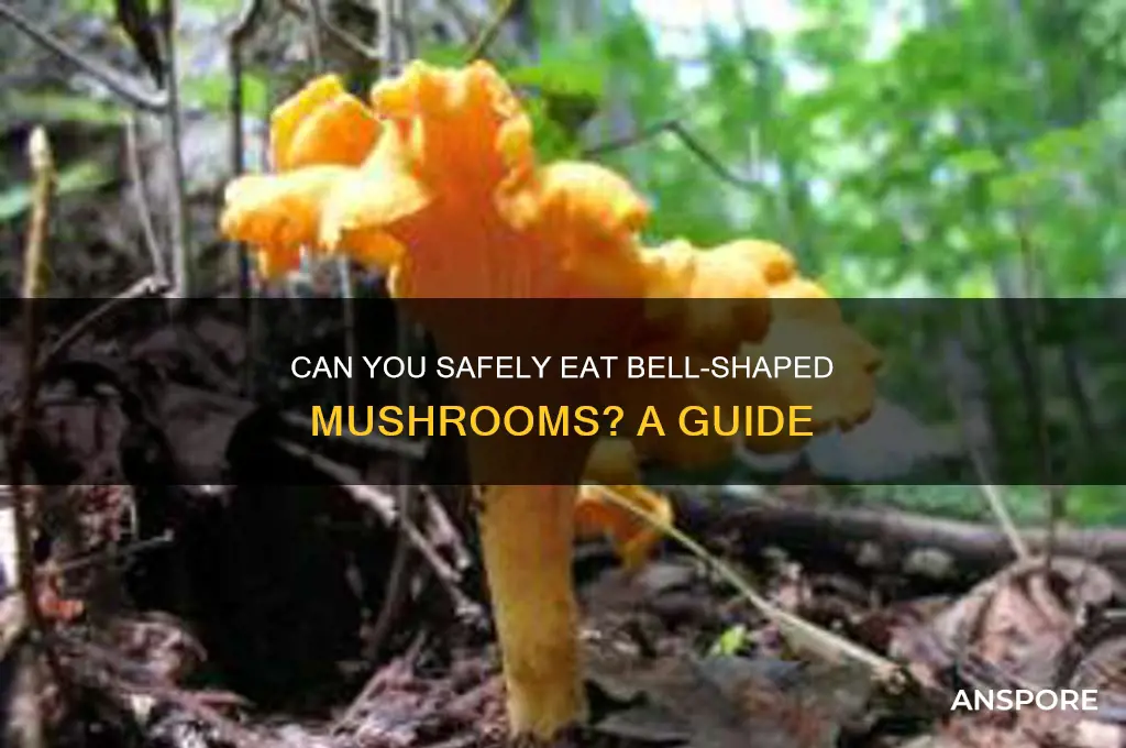 can you eat bell shaped mushroom