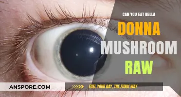 Are Bella Donna Mushrooms Safe to Eat Raw? A Guide