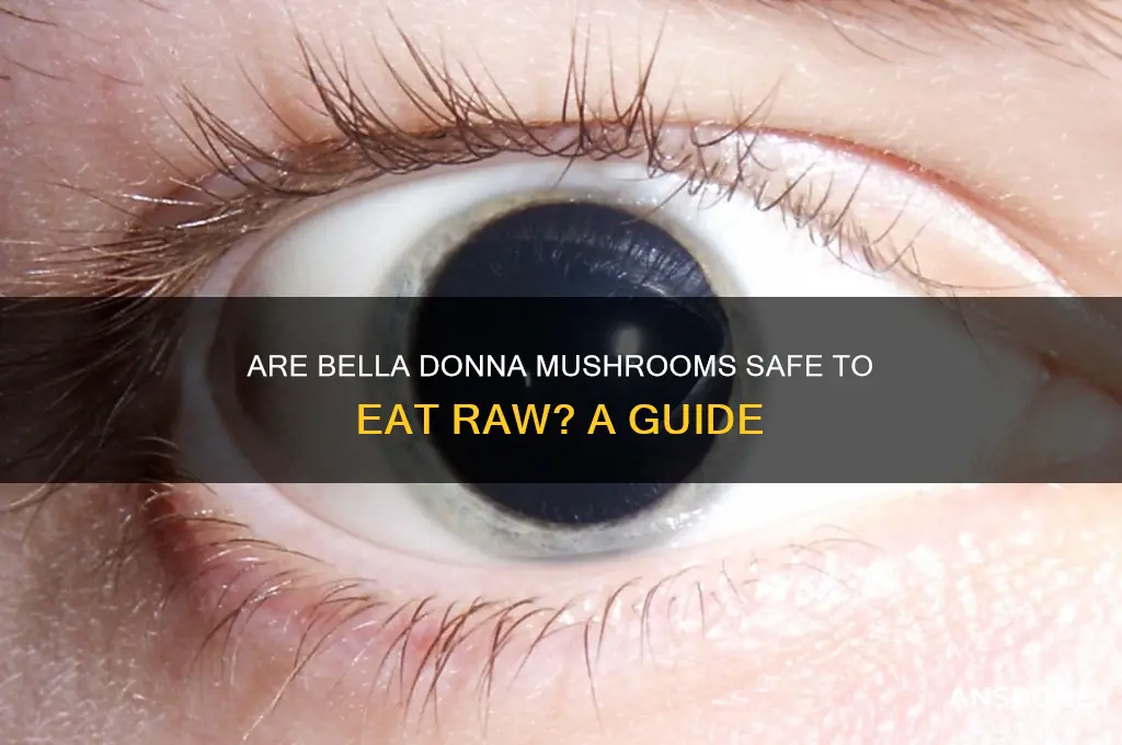 can you eat bella donna mushrooms raw