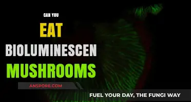 Glowing Fungi: Are Bioluminescent Mushrooms Safe to Eat?
