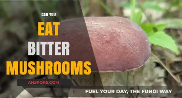 Are Bitter Mushrooms Edible? A Guide to Safe Consumption