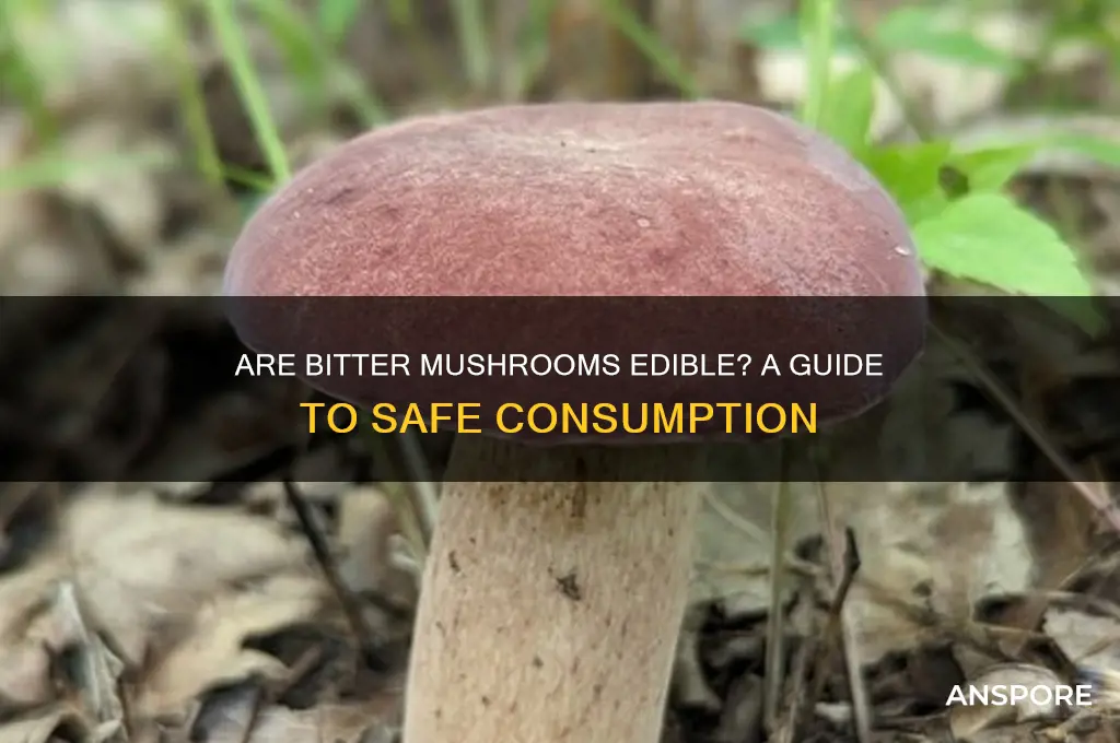 can you eat bitter mushrooms