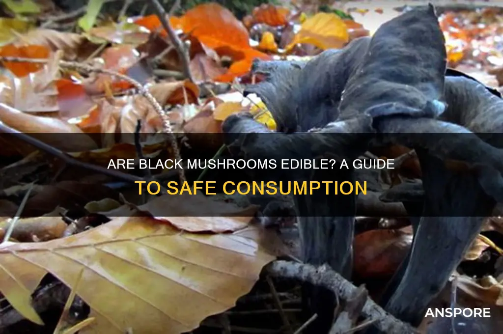 can you eat black mushrooms