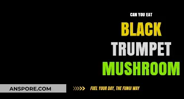 Can You Eat Black Trumpet Mushrooms? A Tasty Guide