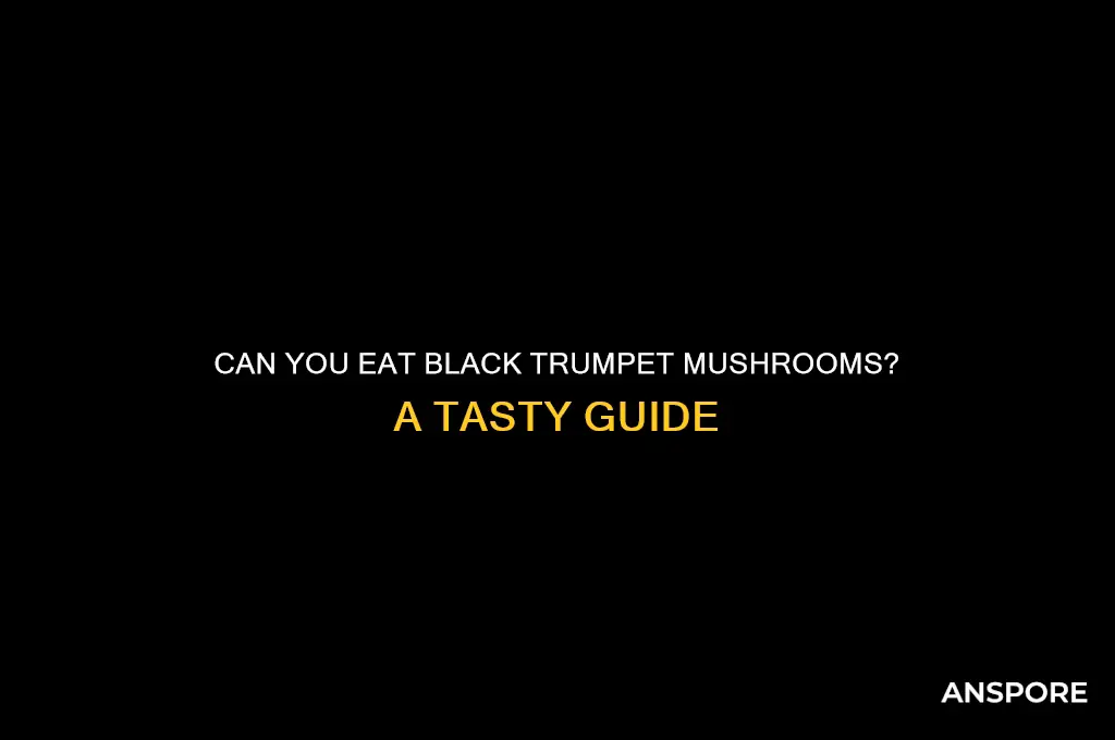can you eat black trumpet mushrooms