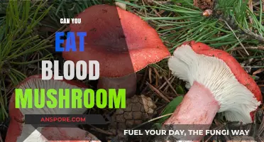Can You Eat Blood Mushroom? Safety, Benefits, and Risks Explained