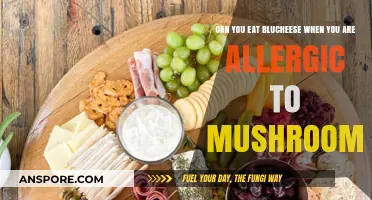Blue Cheese and Mushroom Allergies: Safe to Eat or Risky?