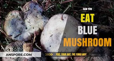 Can You Eat Blue Mushrooms? A Guide to Edibility and Safety