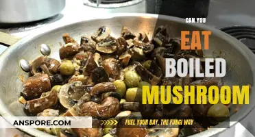 Boiled Mushrooms: Safe, Nutritious, and Delicious Cooking Tips Revealed