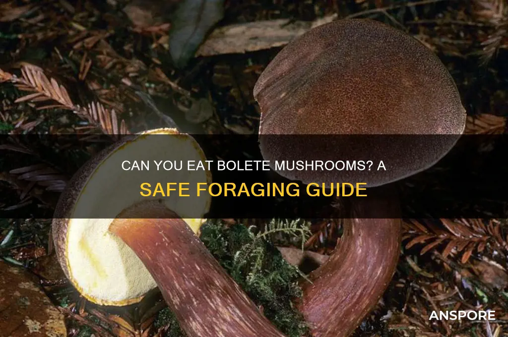 can you eat bolete mushrooms