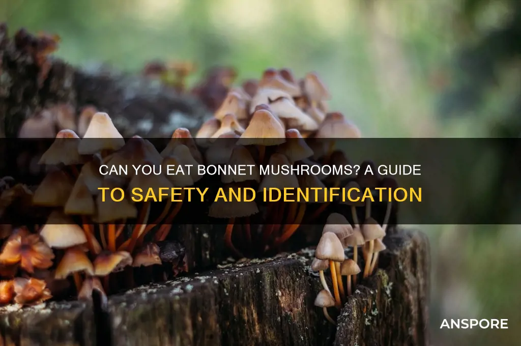 can you eat bonnet mushrooms