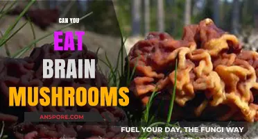 Can You Eat Brain Mushrooms? Exploring the Edibility and Benefits