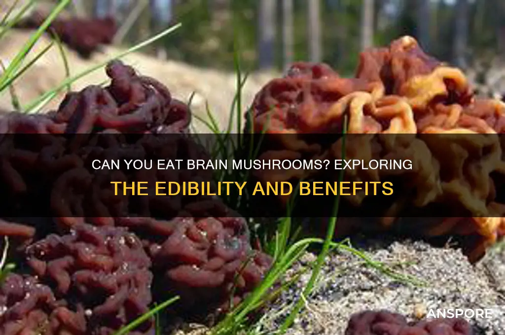 can you eat brain mushrooms
