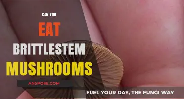 Brittlestem Mushrooms: Safe to Eat or Toxic? A Comprehensive Guide