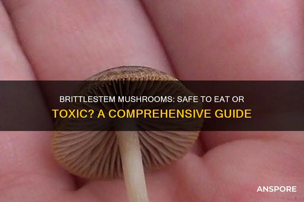 can you eat brittlestem mushrooms