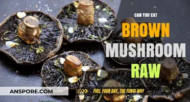 Can You Eat Brown Mushrooms Raw? Safety and Tips Explained