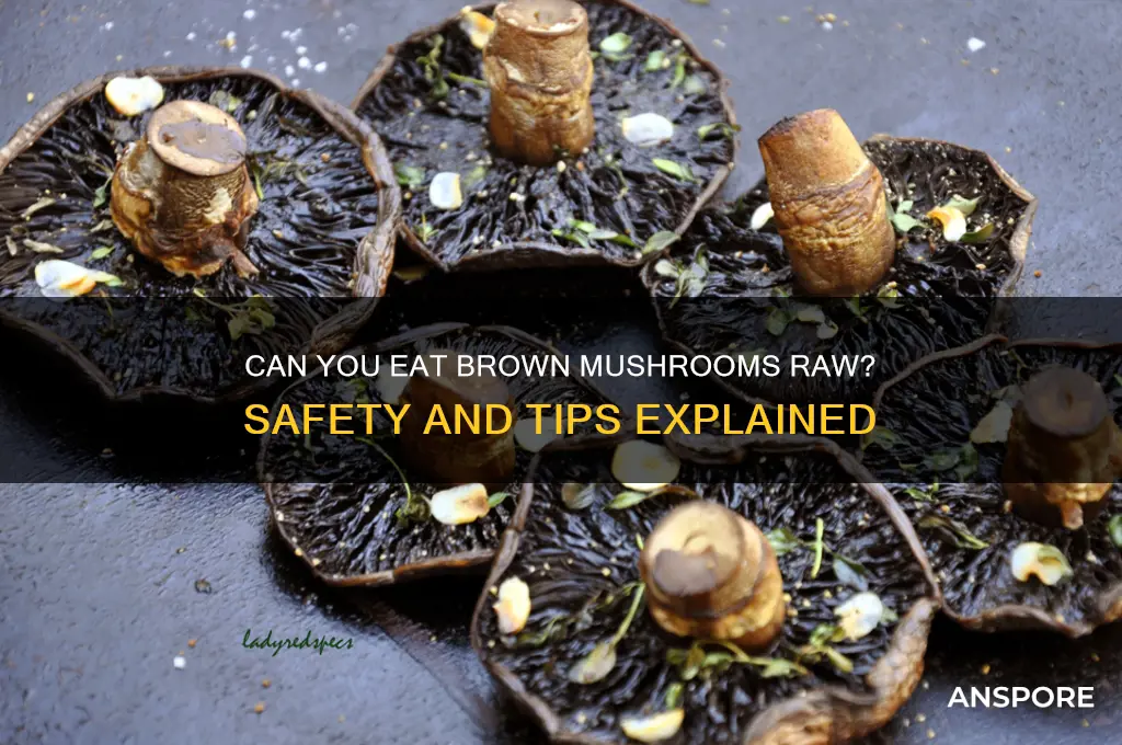 can you eat brown mushrooms raw
