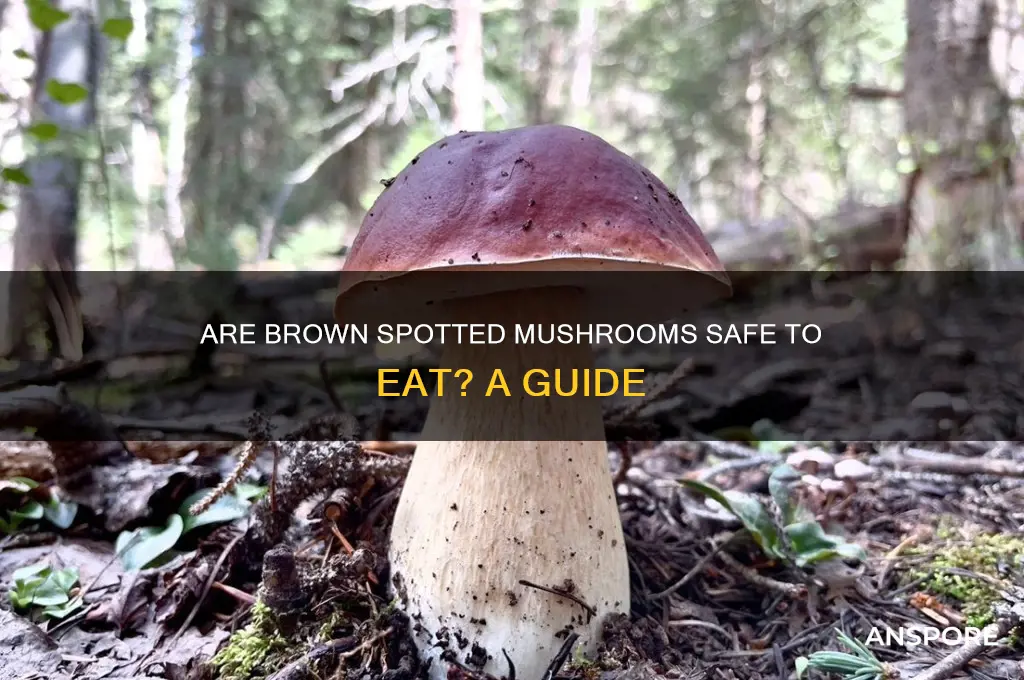 can you eat brown spotted mushrooms