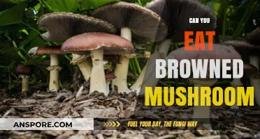Are Browned Mushrooms Safe to Eat? A Culinary Guide