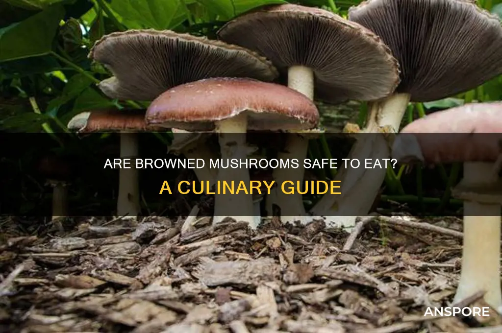 can you eat browned mushrooms