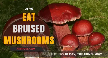 Are Bruised Mushrooms Safe to Eat? A Culinary Guide