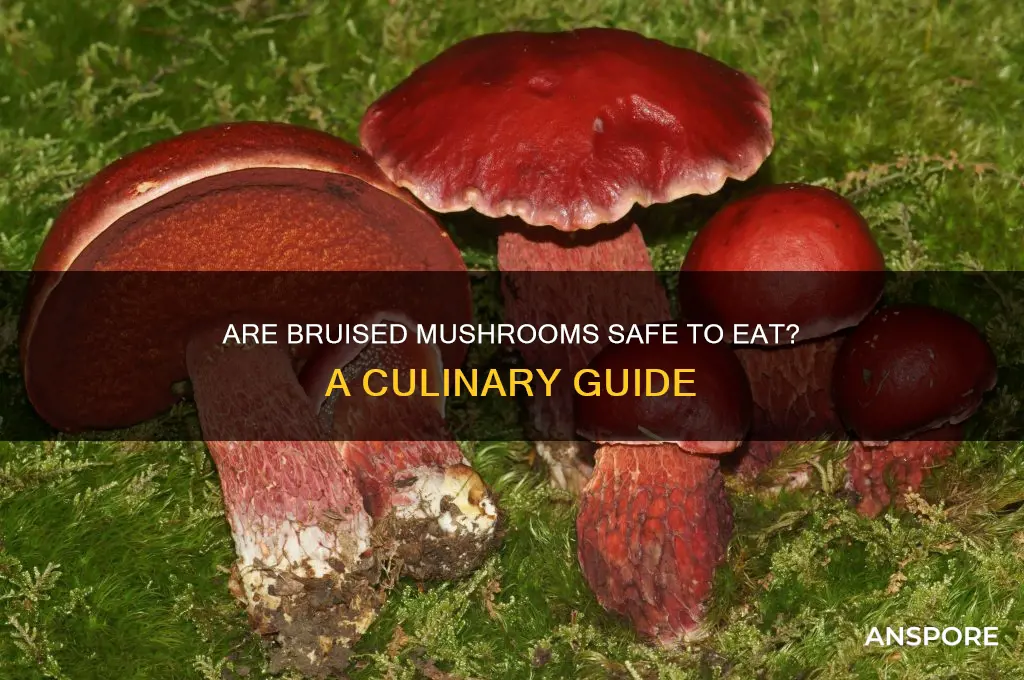 can you eat bruised mushrooms