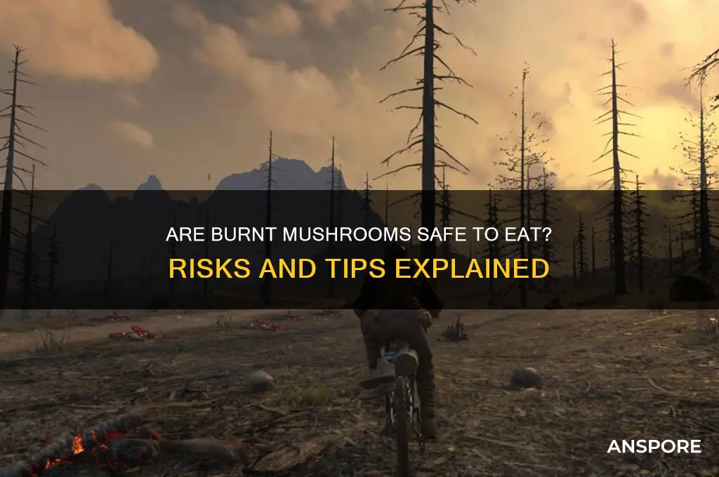 can you eat burnt mushrooms