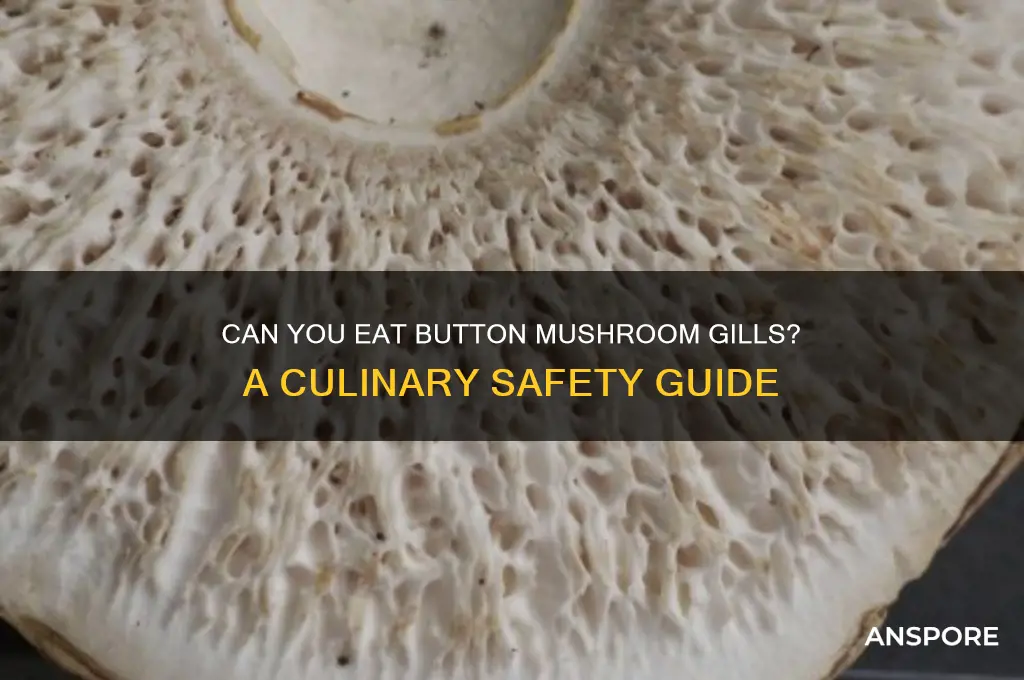 can you eat button mushroom gills
