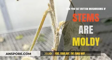 Moldy Mushroom Stems: Safe to Eat or Toss Button Mushrooms?