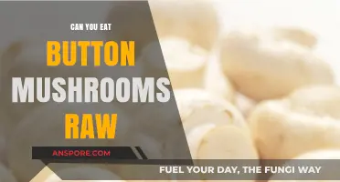 Can You Eat Button Mushrooms Raw? A Complete Guide