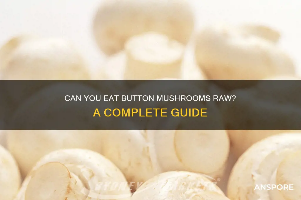 can you eat button mushrooms raw