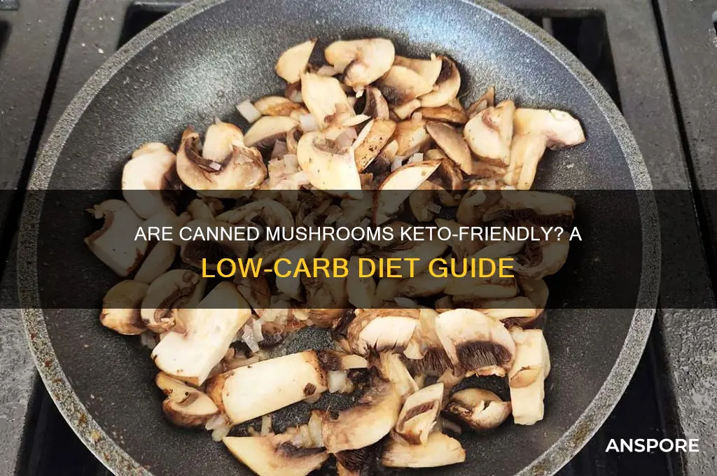 can you eat canned mushrooms on a ketogenic diet
