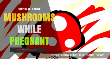 Pregnancy and Canned Mushrooms: Safe or Risky to Eat?