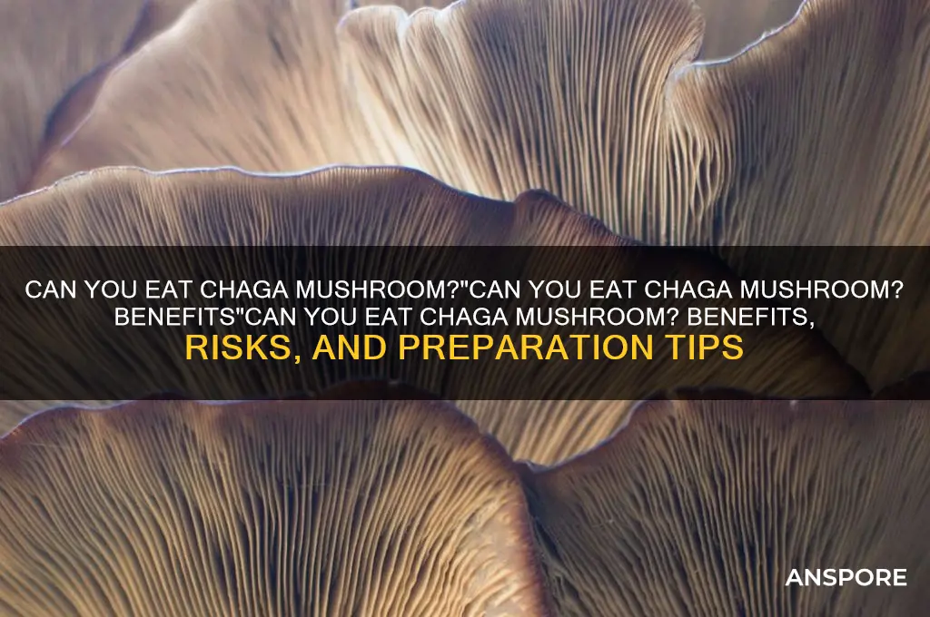 can you eat chaga mushroom