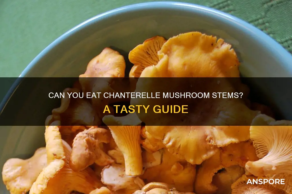 can you eat chanterelle mushroom stems