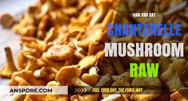 Can You Eat Chanterelle Mushrooms Raw? Safety and Tips